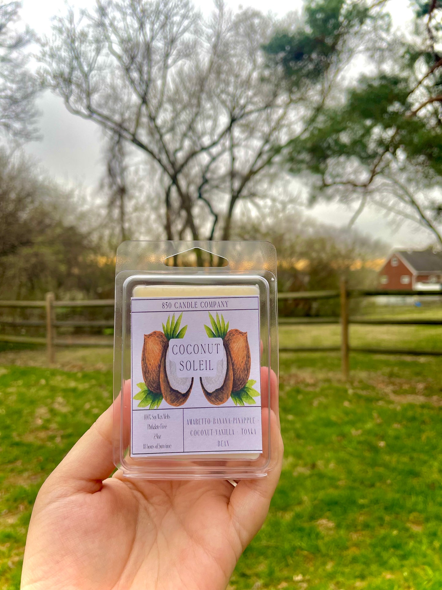 Coconut Soleil Wax Melt