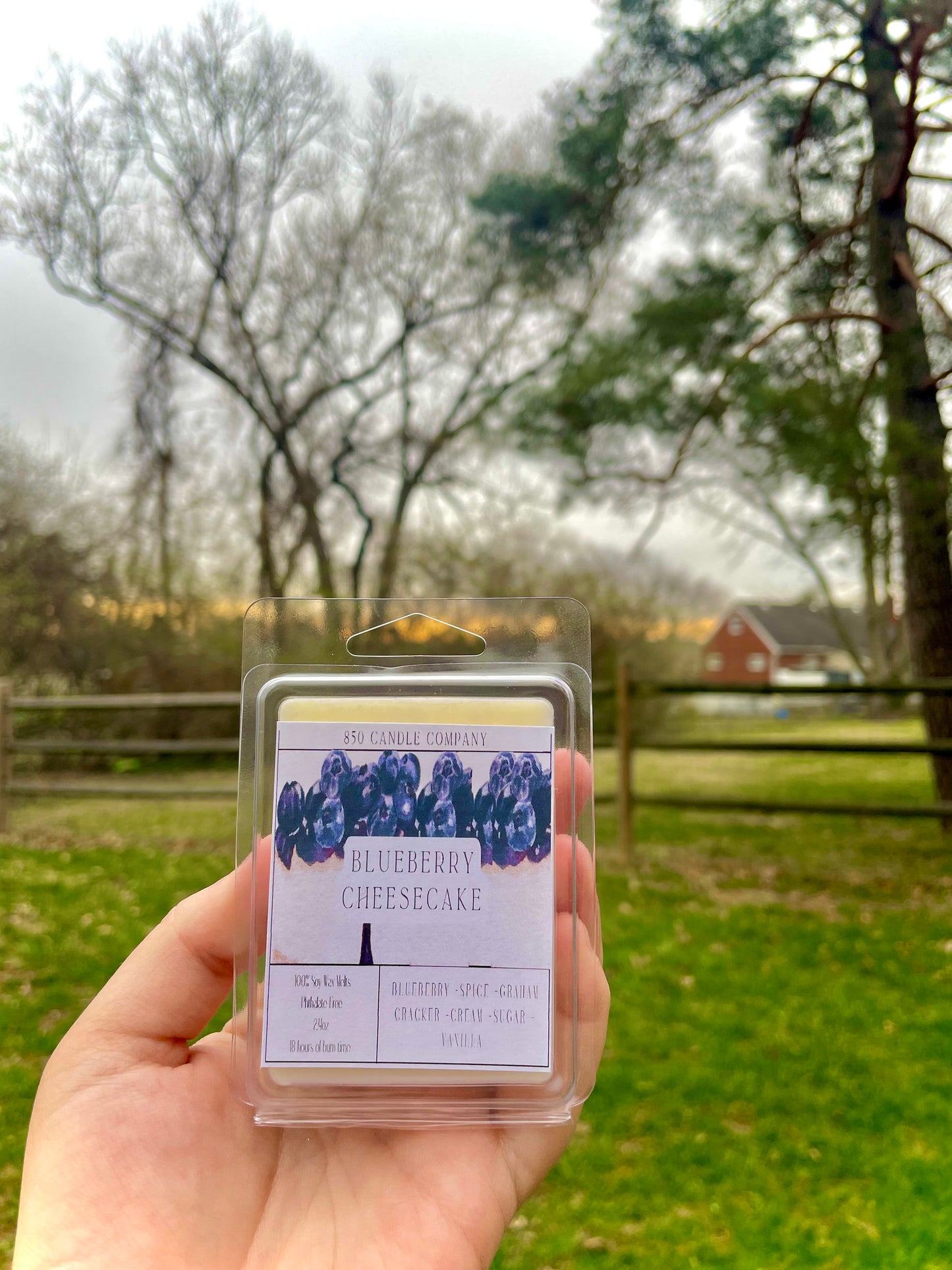 Blueberry Cheesecake Wax Melt