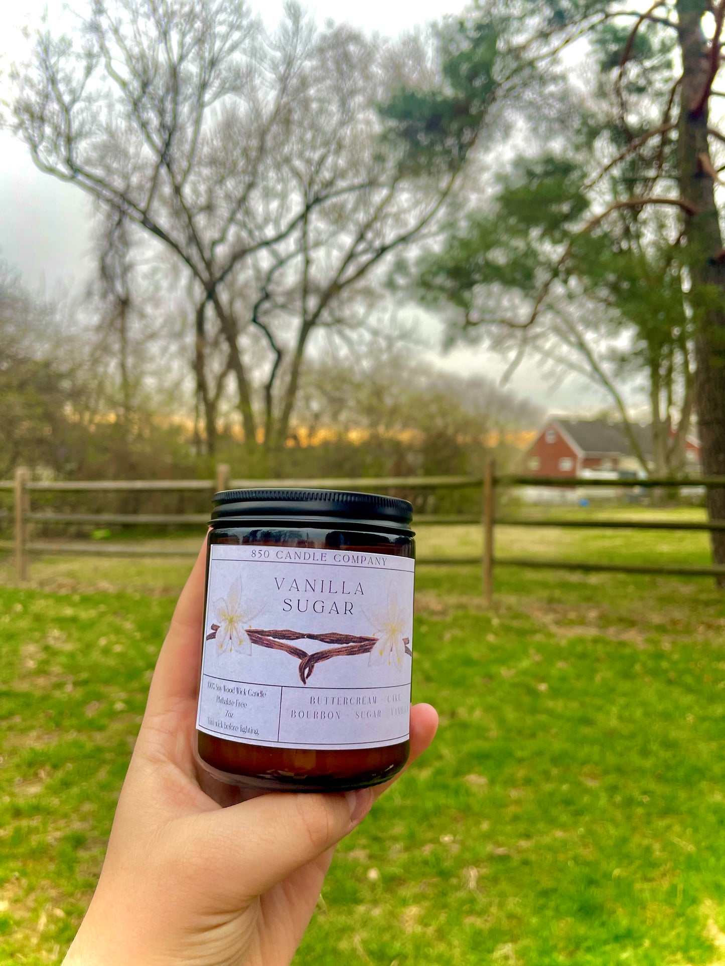 Vanilla Sugar Soy Candle