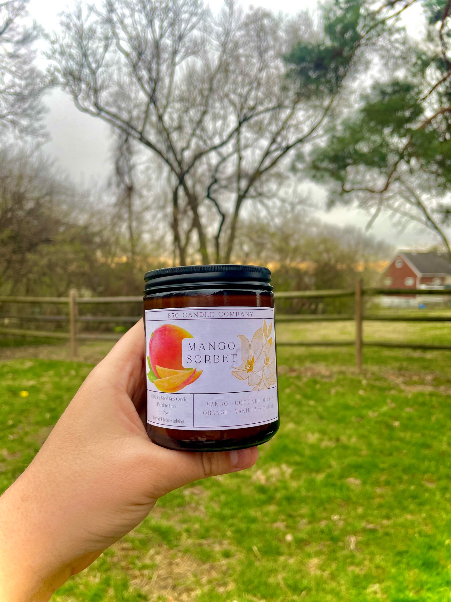 Mango Sorbet Soy Candle