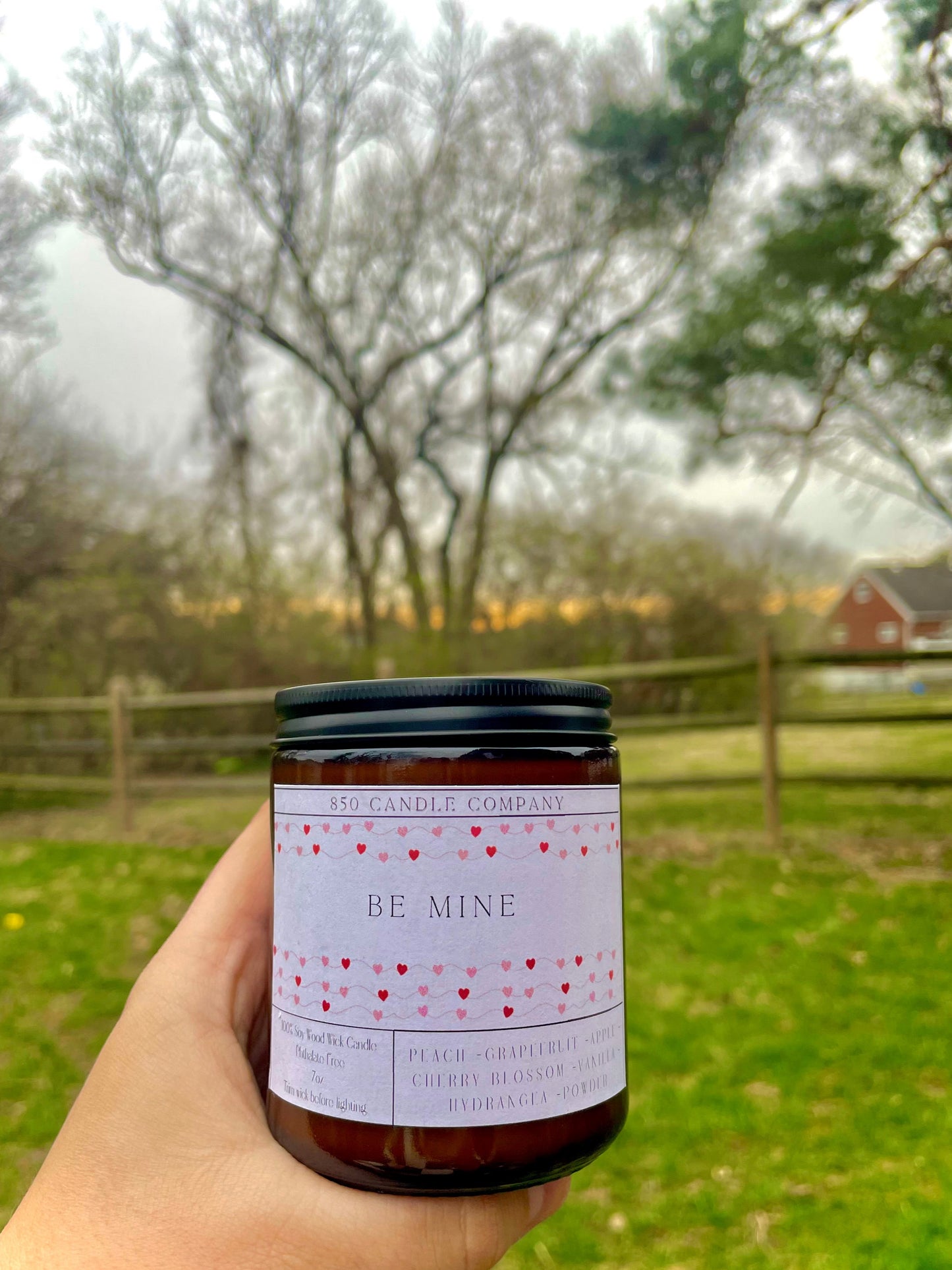 Be Mine Soy Candle