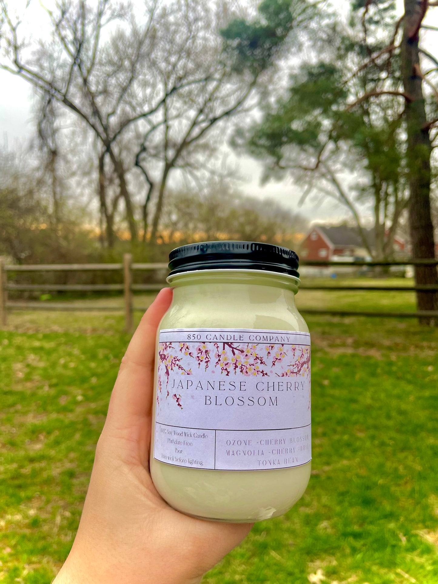 Japanese Cherry Blossom Soy Candle