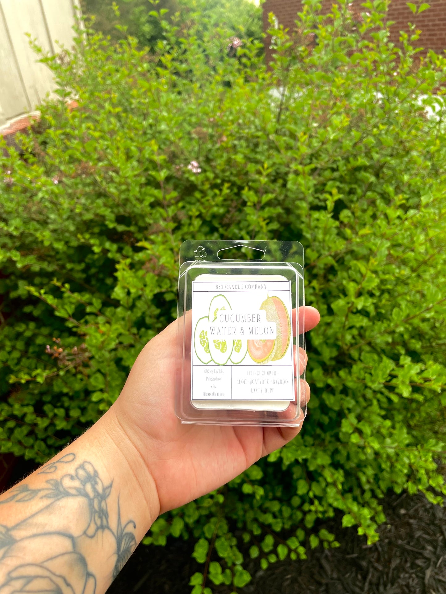 Cucumber Water & Melon Wax Melt