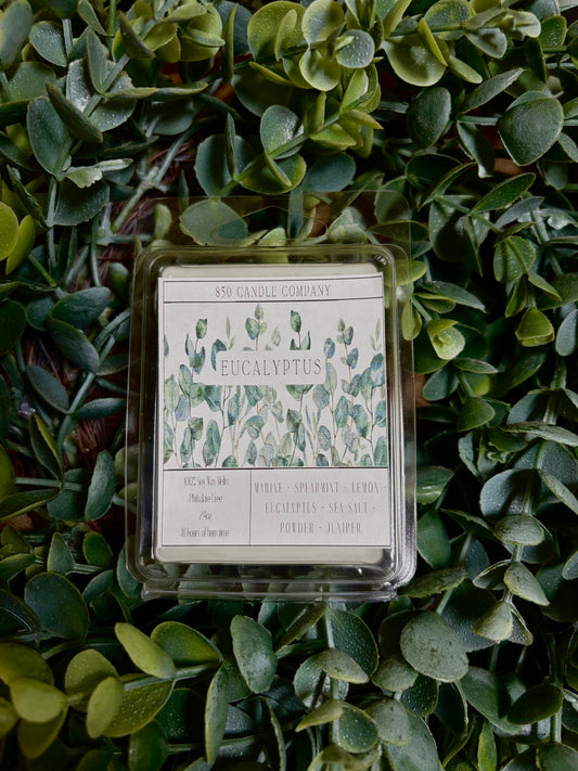 Eucalyptus Wax Melt
