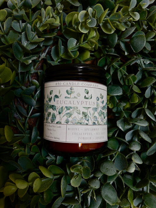 Eucalyptus Soy Candle