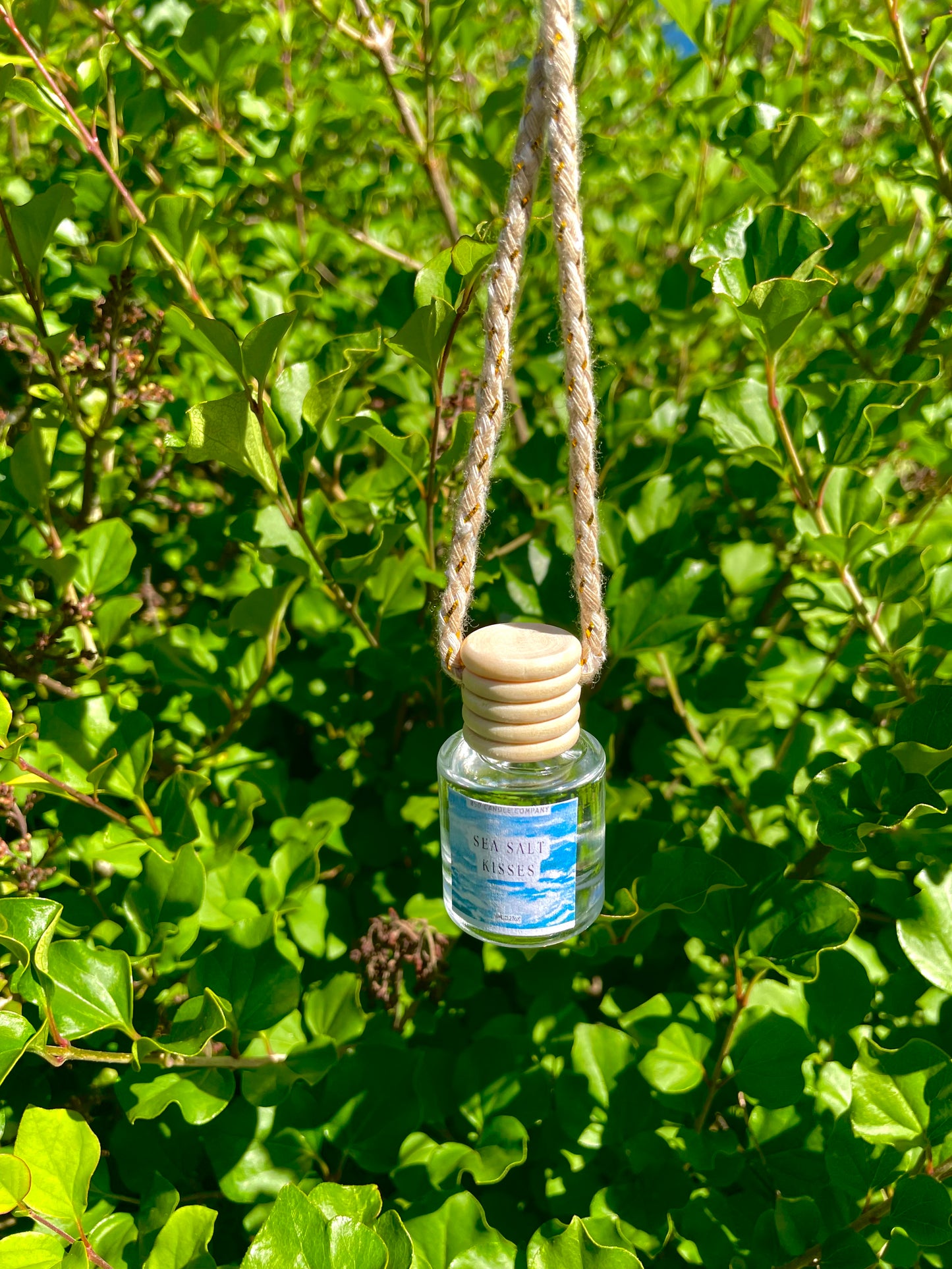 Sea Salt Kisses Car Diffuser
